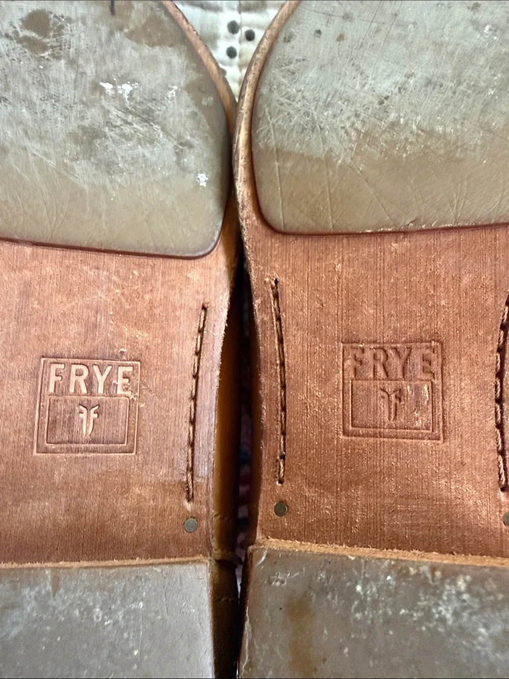 Frye Women's Brown Leather Ankle Boots with Side Zip